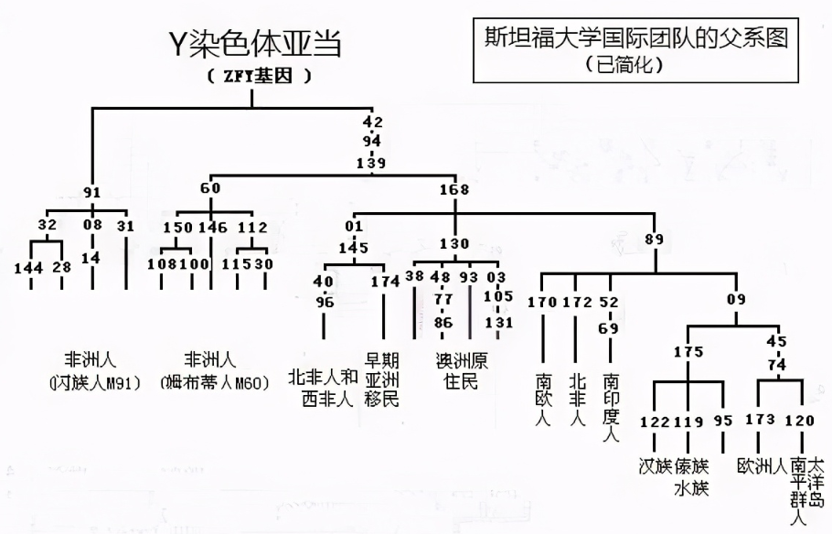 第一个中国人从哪儿来?科学家的新研究成果,揭示中国人的起源?