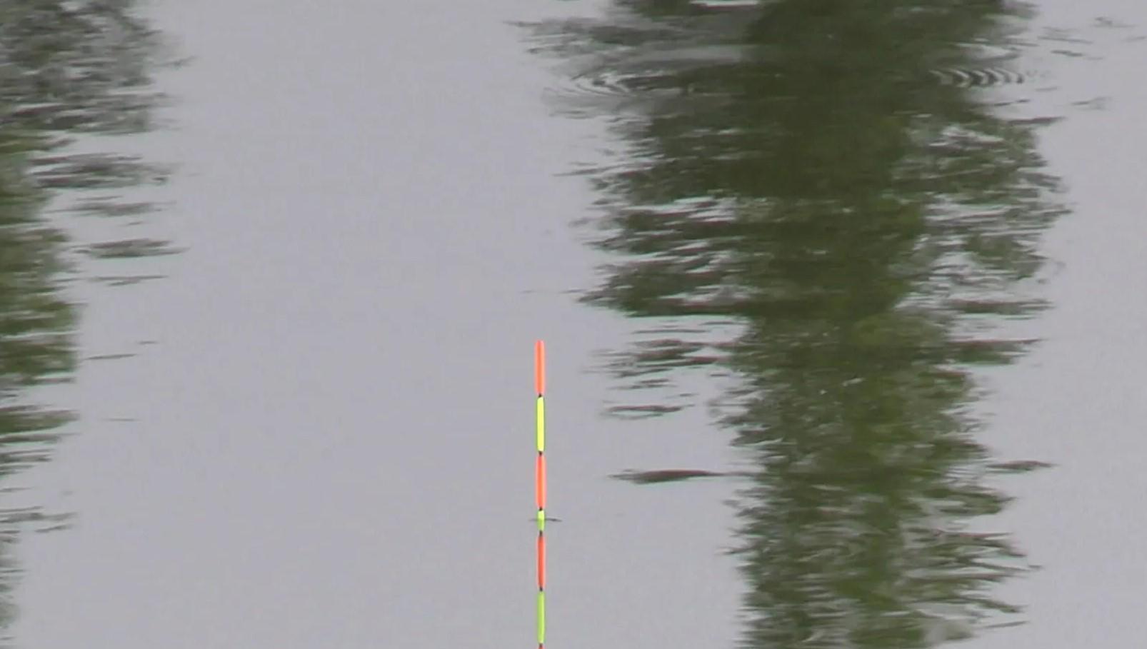 |钓鱼调浮漂只是基础，会看浮漂才是关键，新手学会看6个漂相足够