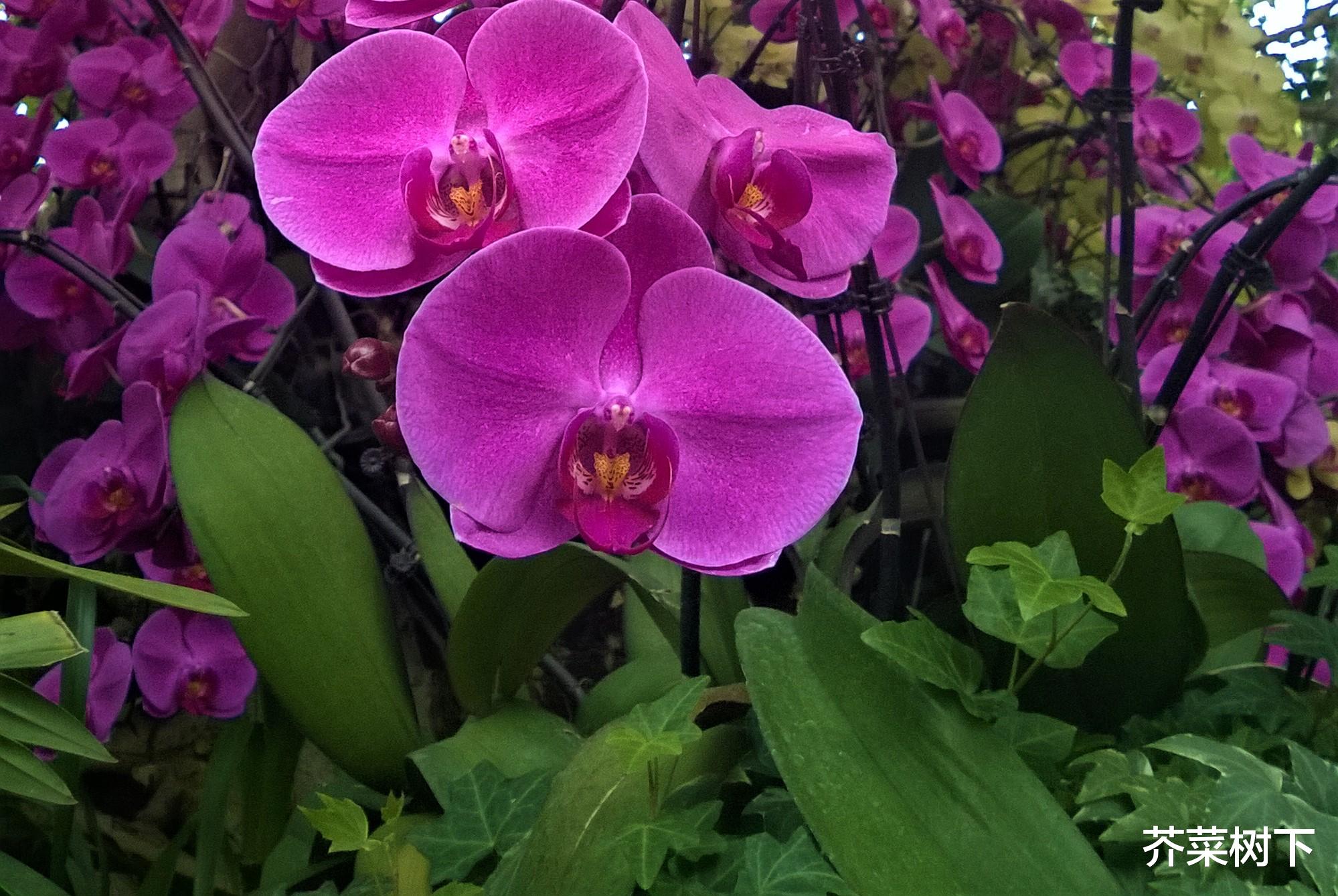 pua|职场PUA之——你怎么不肯突破?