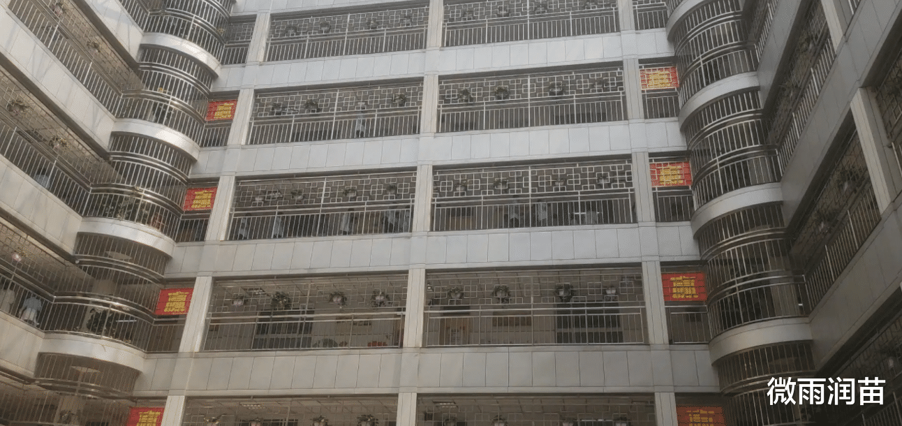 |中小学走廊为什么安装防盗网？名为“防盗”，实为“防跳”