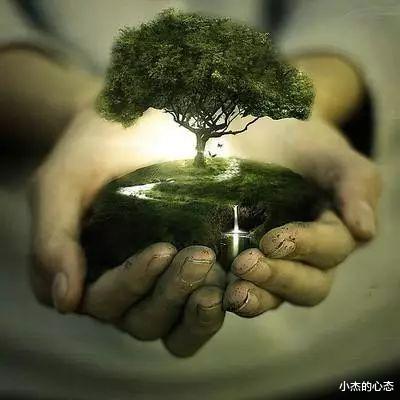 外星生物长啥样?地球已告诉我们,但有几种奇葩还无法想象