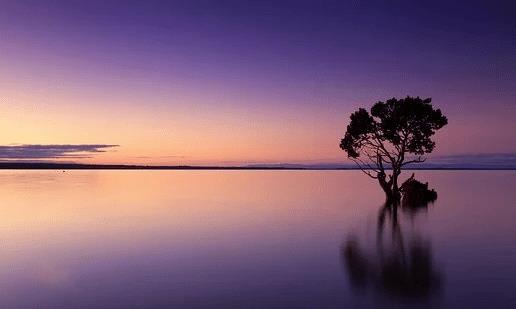 肝脏|50 条生理常识，比金子还值钱！（建议收藏）