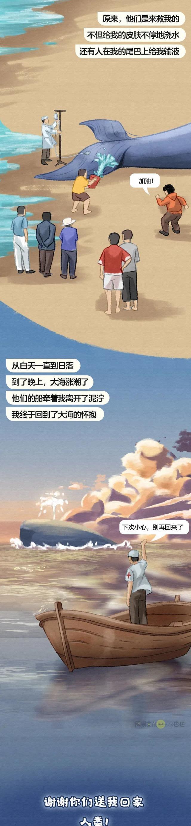 饥饿、屠杀、沦为商品……它的一生太“惨”了!人类该反思了