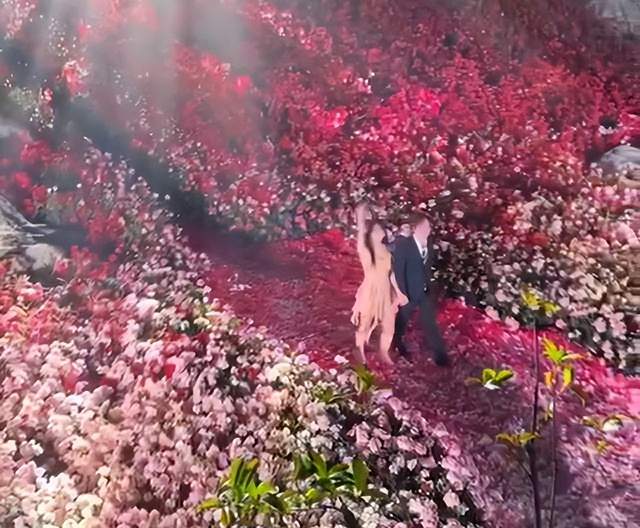 男子花30万给女友制造花海,网友:骗局,曾经骗了我们几千万