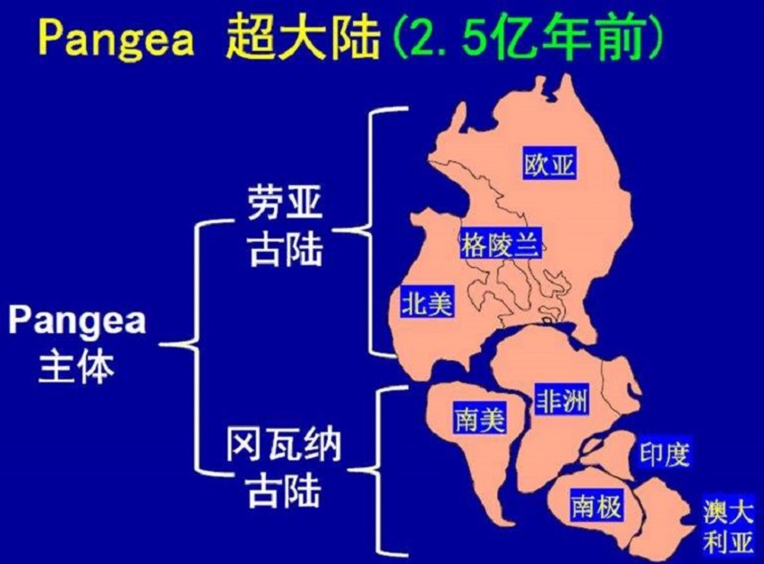 南极冰盖下有什么?俄罗斯钻探20年,于4千米处找到“异星世界”