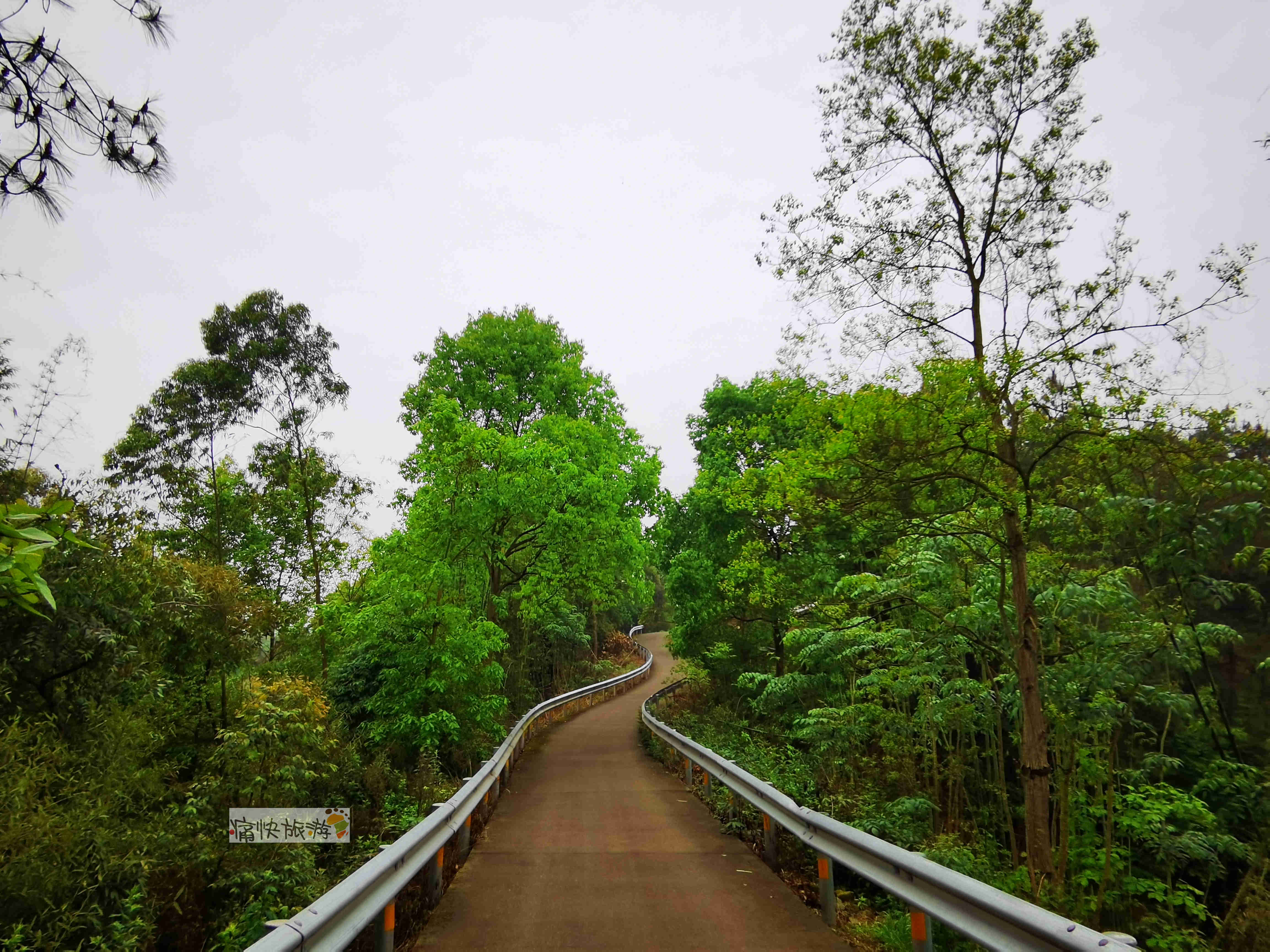 贵州|行走自贡：雨后漫步乡间公路