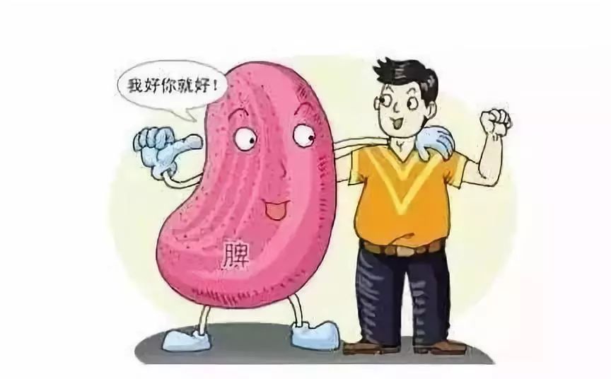 穴位 脾不好，人就胖！