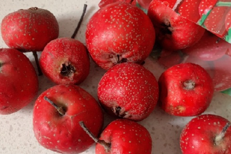 香菜|对心血管好的零食排行榜