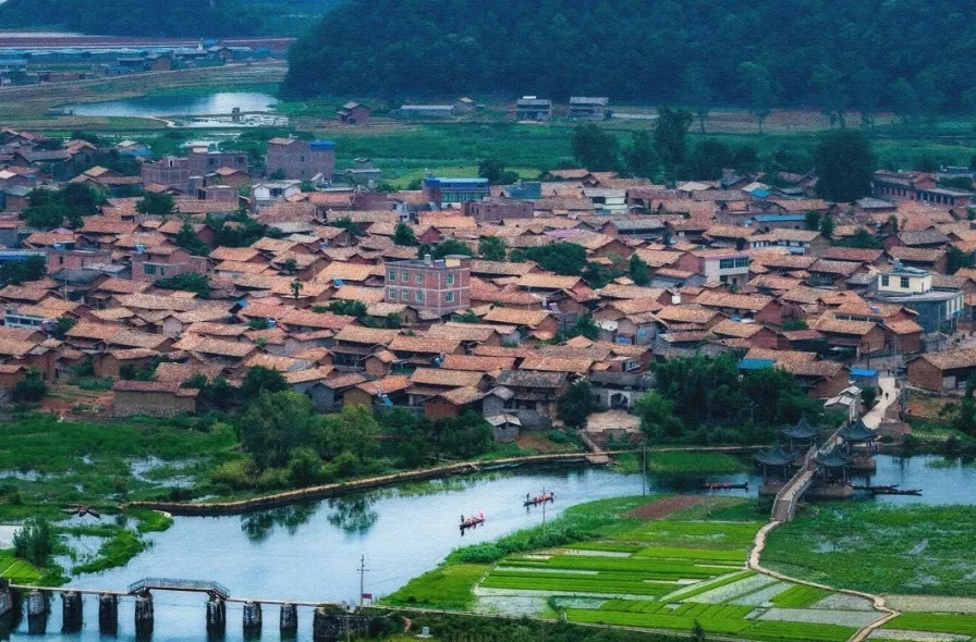 青岛市|青丘缘起，荷海芳华，除了荷花，你还能在普者黑看到什么？