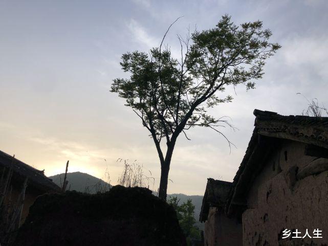 明年降雨多吗?年景如何?明日“八月初一朝东看”,到底看什么?