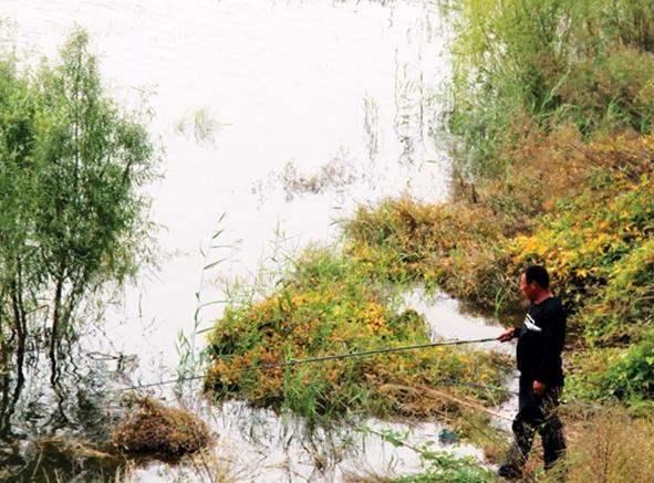 饵料|钓鲫鱼的“黄金期”到了，想钓好鲫鱼，这5个必备技巧不可少