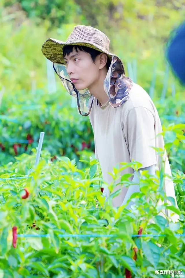 韩剧|每个主角都没有大团圆结局,这才是今年最佳韩剧结尾