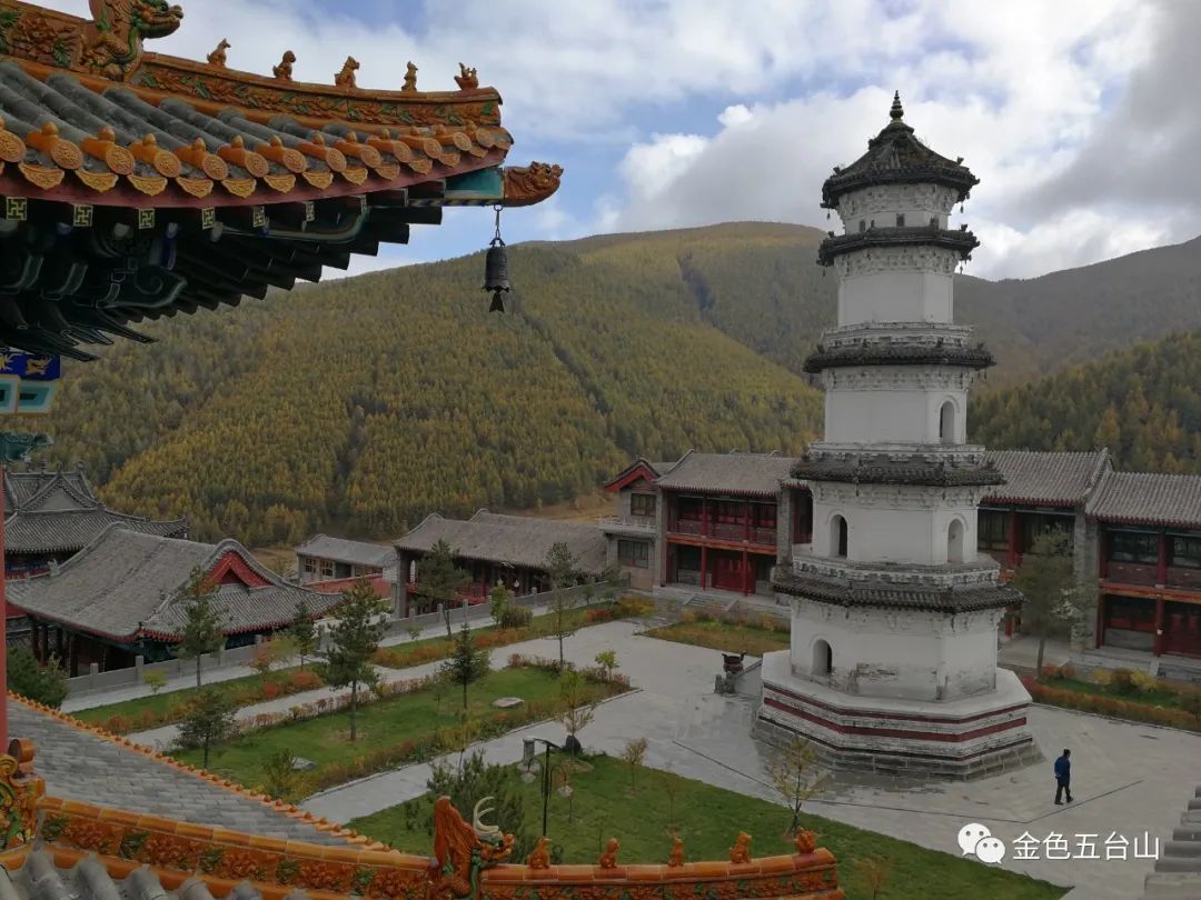五台山|金色五台山，等你来相遇