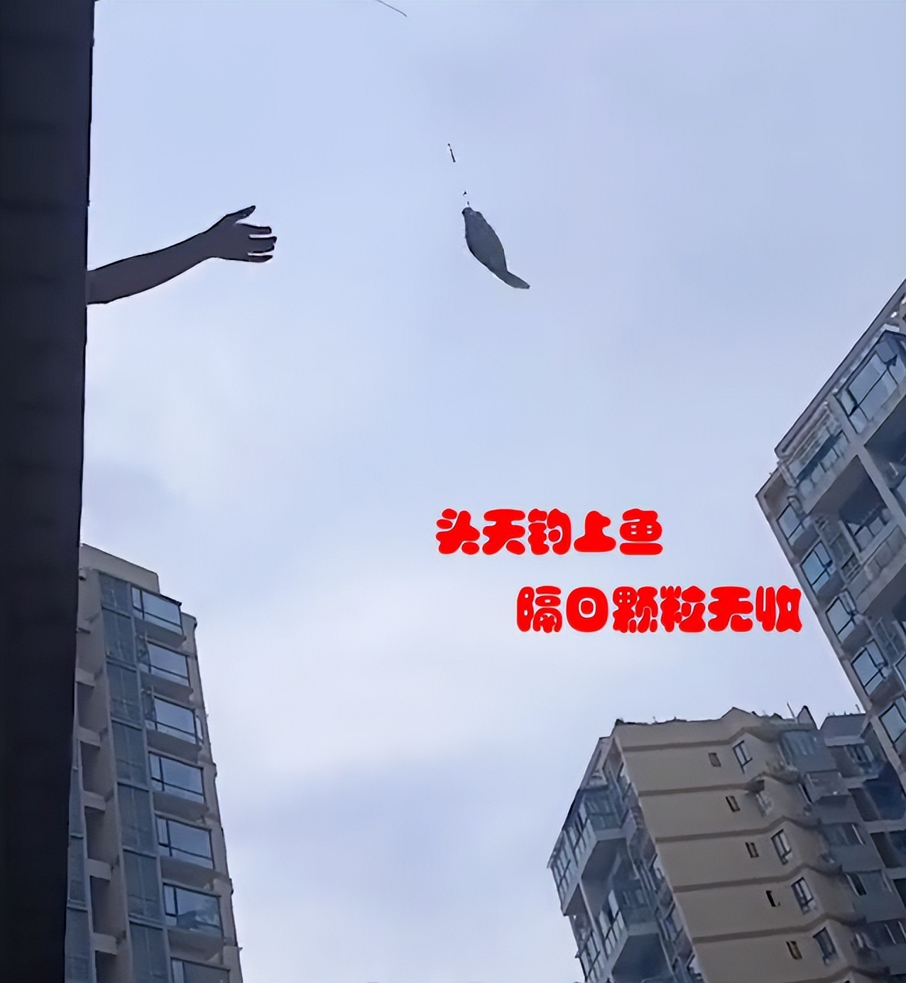 成都:男子隔离在家从阳台上钓鱼,楼下女子欲截胡
