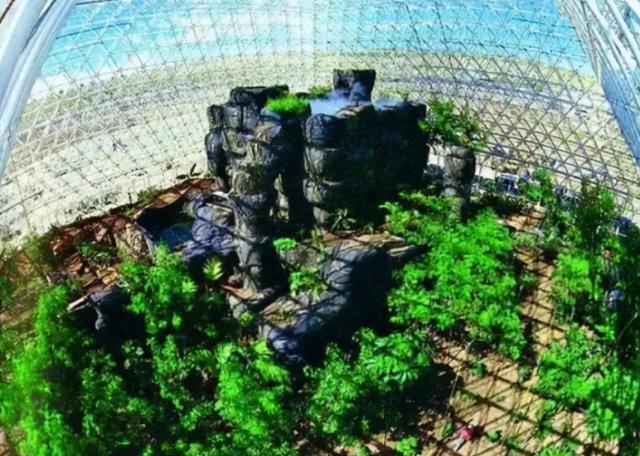 30年前,科学家将4名男女关进封闭空间,为移民外星球做实验