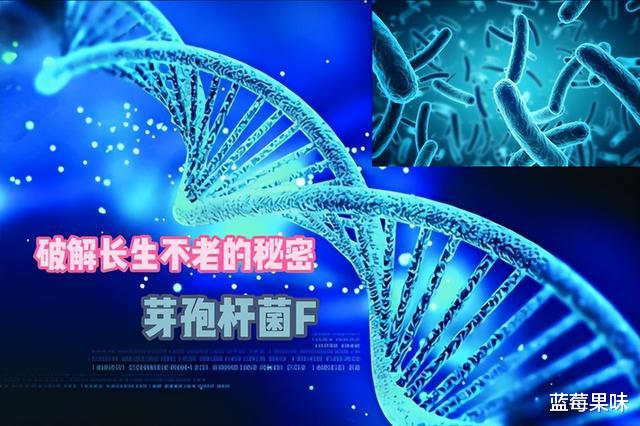 人类如果能活到一千岁,社会会变成啥样?真相可能很扎心