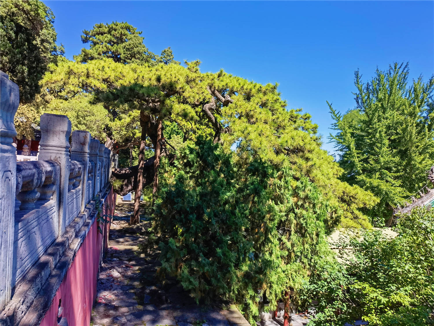 云南|十一京郊休闲度假游，来门头沟美丽乡村民宿