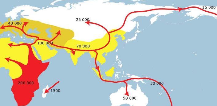 中国人究竟起源于哪里
