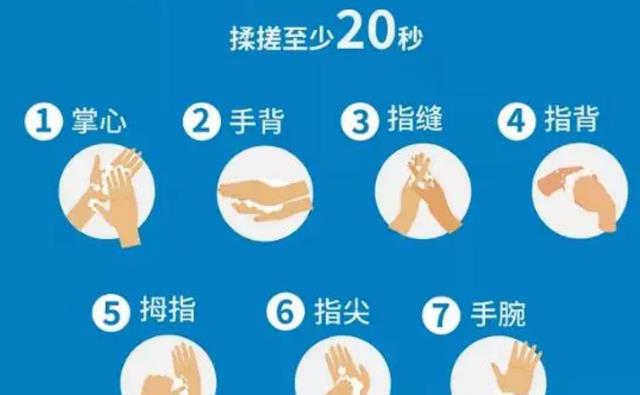 卫生间的小飞虫到底是什么?外表不起眼,但它的危害超出你想象
