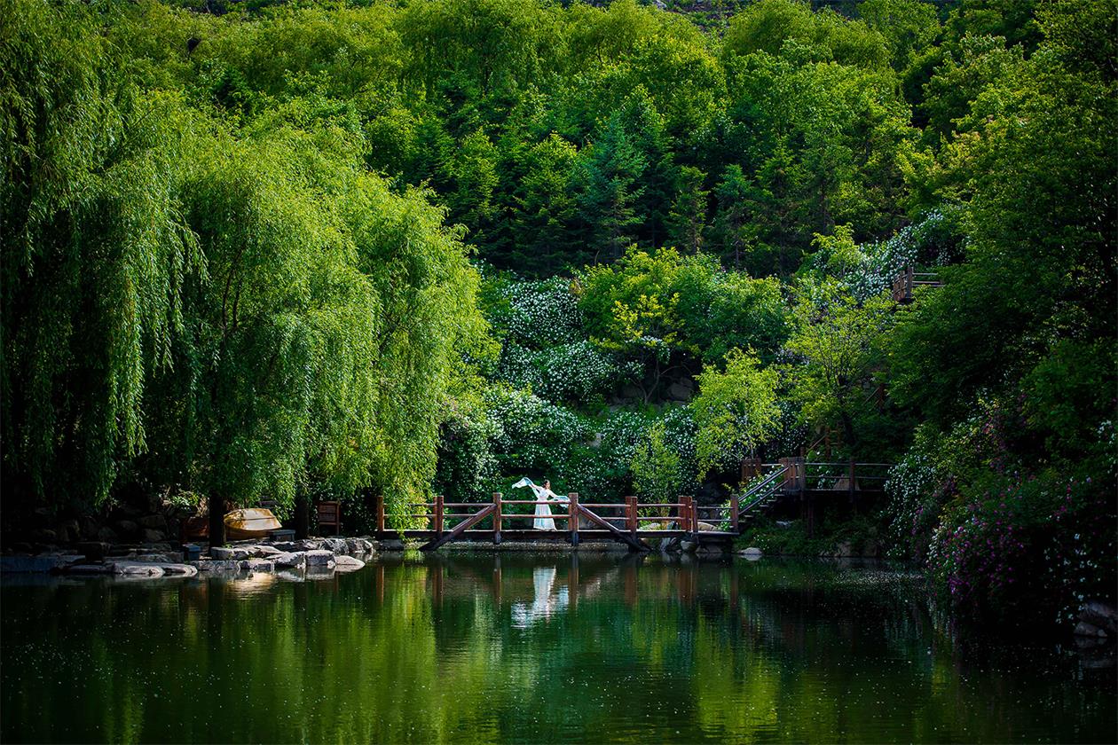 旅游市场|藏在森林里的清凉与浪漫，宝、妈同乐的避暑遛娃指南