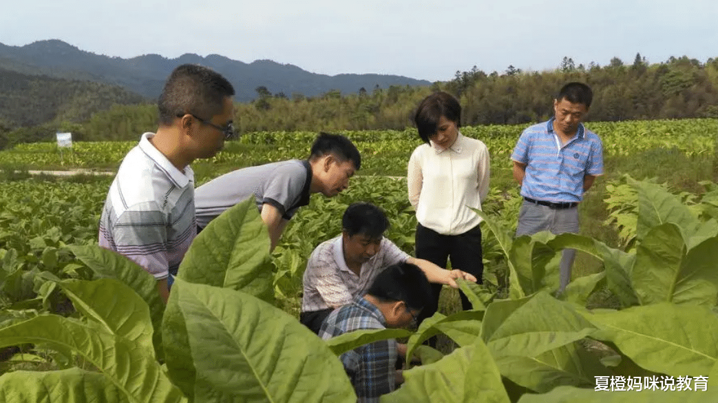 大学生|中国烟草招聘人才，年薪高达“6位数”，优先录用三类大学生