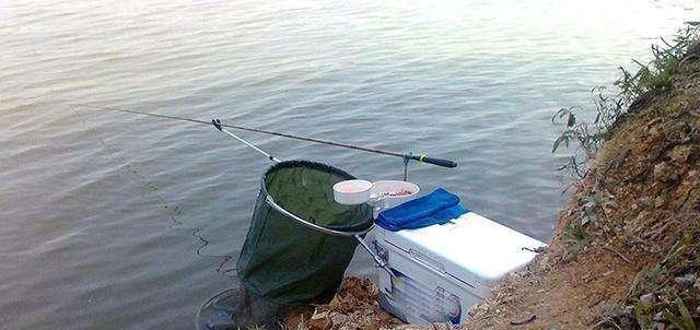 徒步|女钓友收获30斤胖头鱼，扛着它徒步10公里回家，原因让人哭笑不得