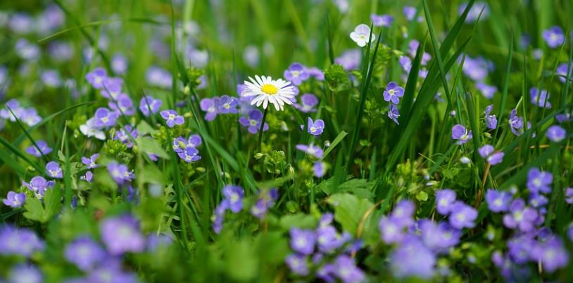 短视频|第一次尝试拍短视频：状况频出，可意义重大！