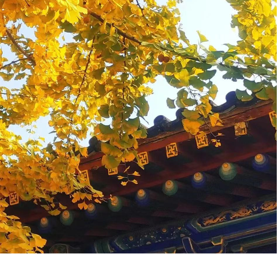 余姚|今日寒露，法门文化景区等你来赏秋