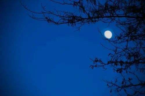 秋田里的水月亮