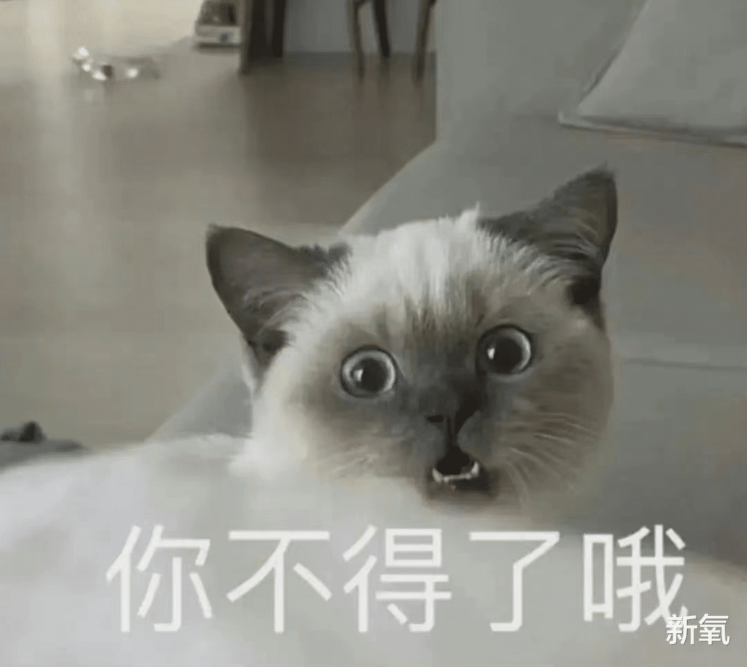 姐姐|日本男人最喜欢的女星身材连续4年拿下榜首，网友：姐姐我可以