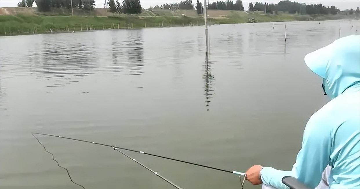 |钓鱼调漂时,新手容易犯的3个错误,调漂讲解让后学者少走弯路