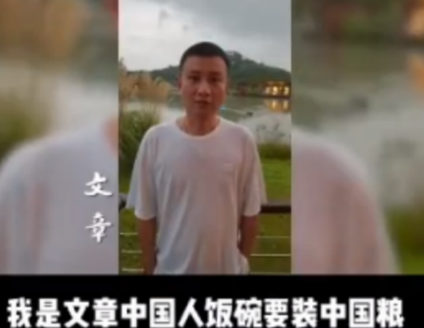 马伊琍|37岁文章罕见现身，苍老发福头发稀疏认不出，网友：咎由自取