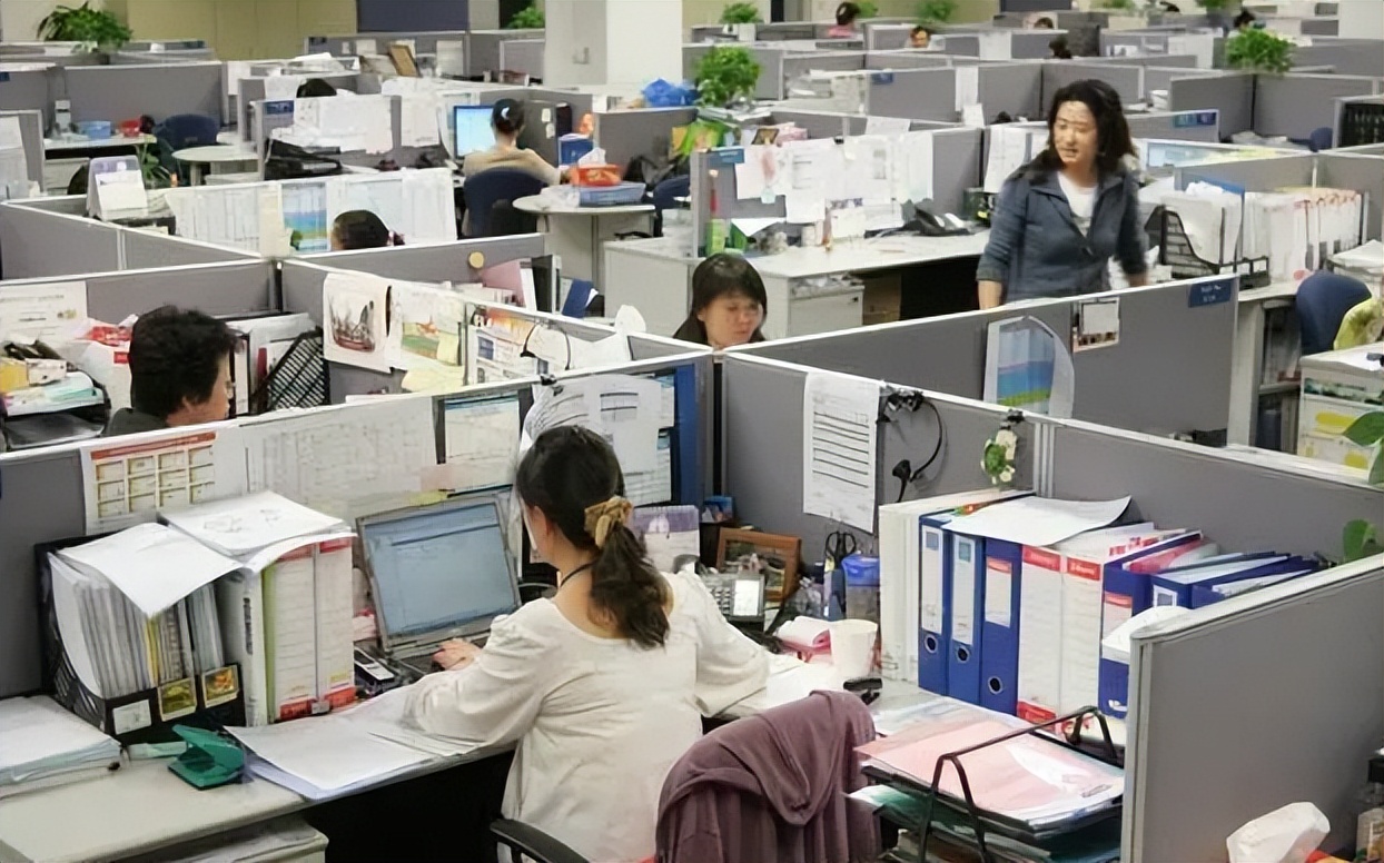 招聘|上海储备人才招聘信息公开,东北985全军覆没,部分海归也被淘汰