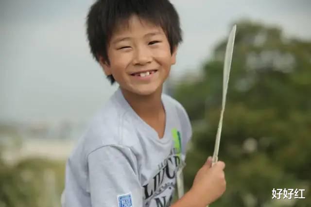 赵本山|王力宏正式离婚，疯狂争夺三个孩子: 离婚，最受伤的是孩子