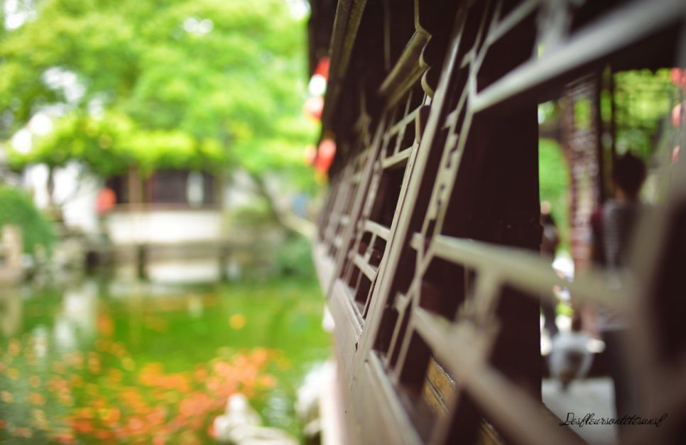 三亚|忘记九寨三亚吧，这才是最值得去的地方