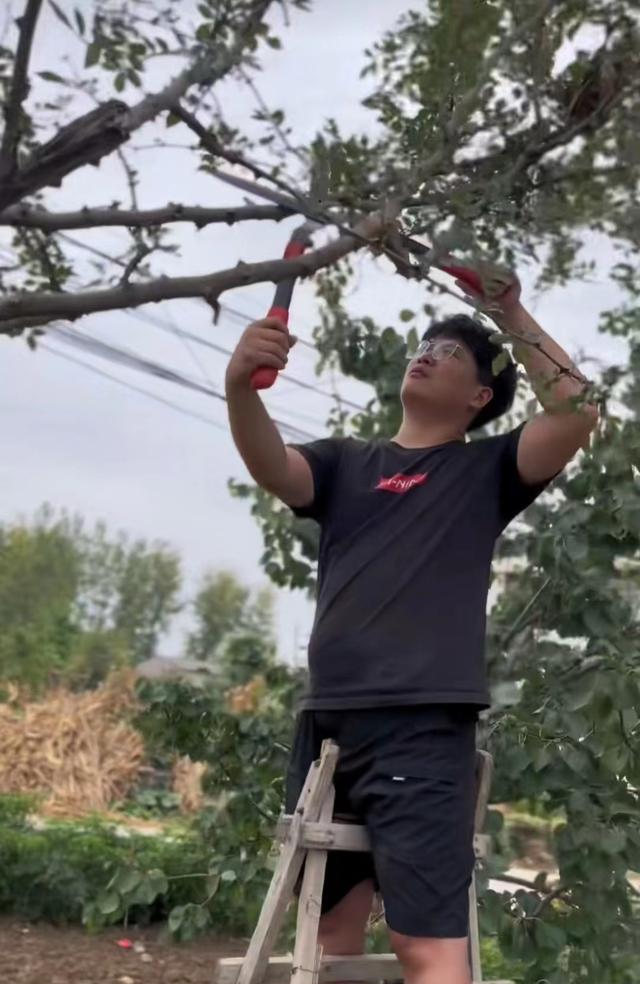 许敏|团结一心，其利断金！田静分享一家人摘花椒场景，再回应网友质疑