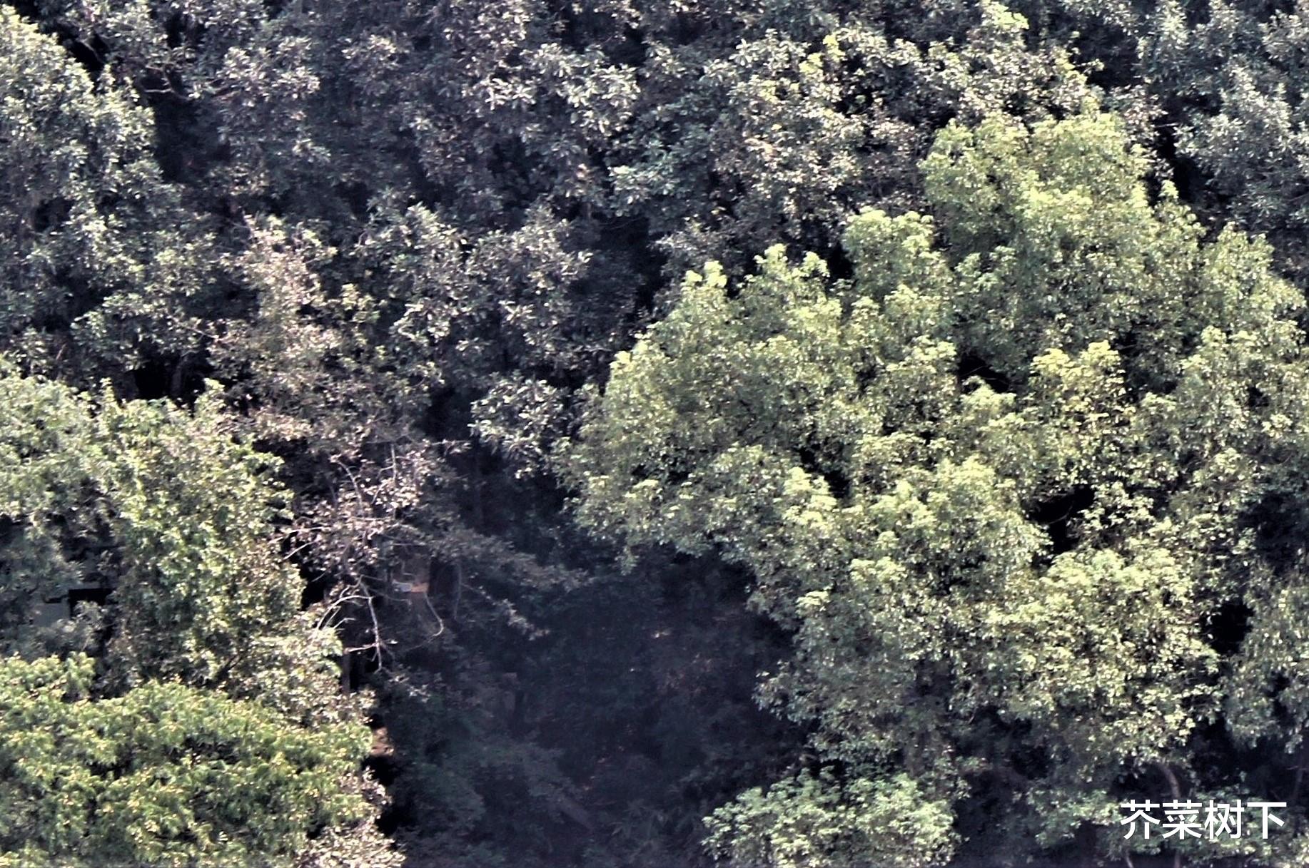 |职场，存在私人关系吗？