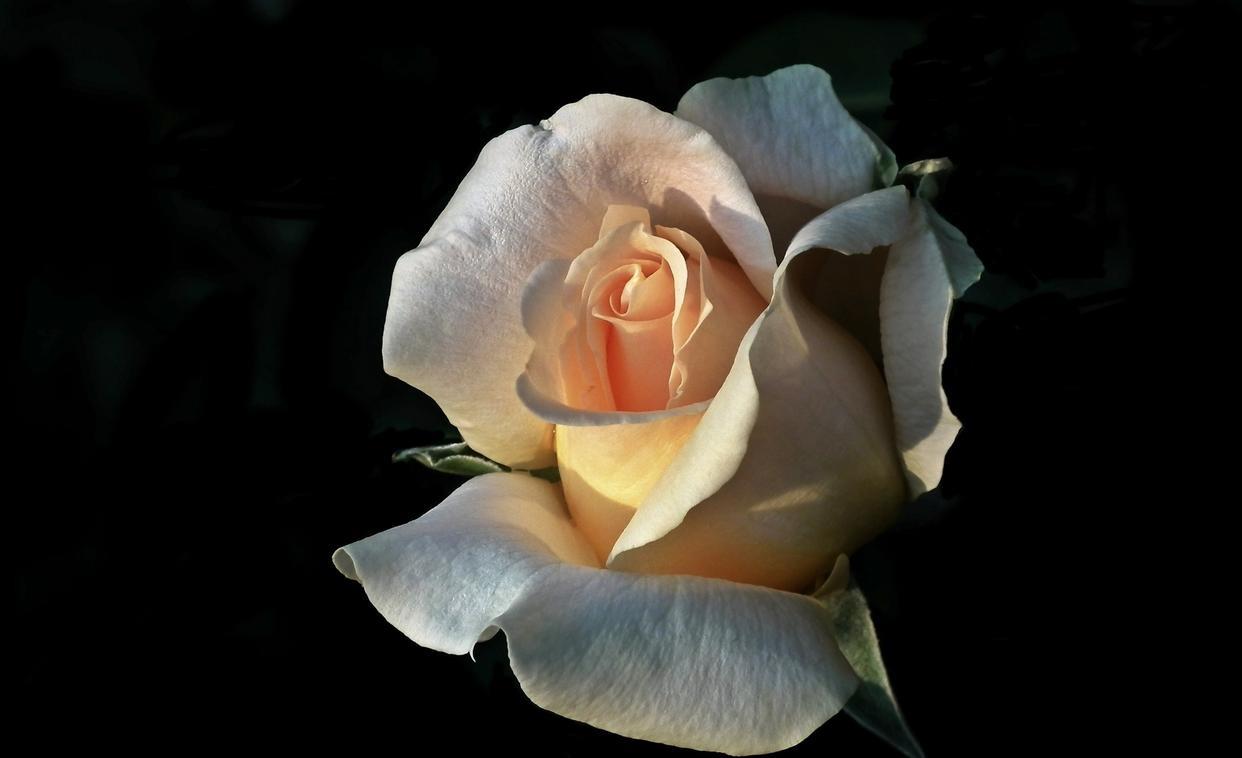 |职场中，抓住这三个人，你的事业会更上一层楼