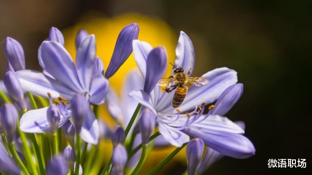 |工作6年,那些越早知道越好的职场经验(建议收藏)