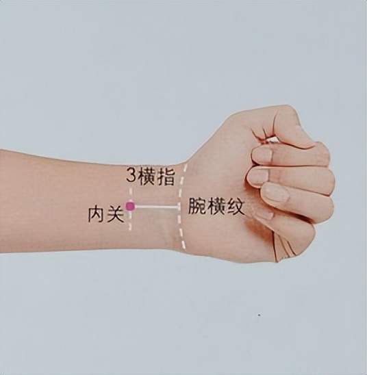 经络|经络穴位，每日一学——内关，炎热即将来临，“心神卫士”解烦忧