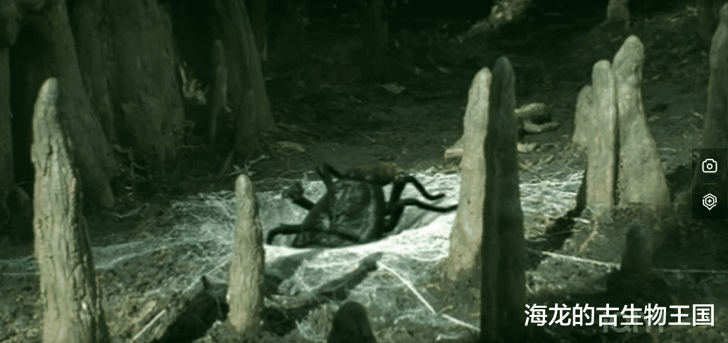 史上最大蜻蜓出场!原水蝎螈才是石炭纪森林中的霸主!