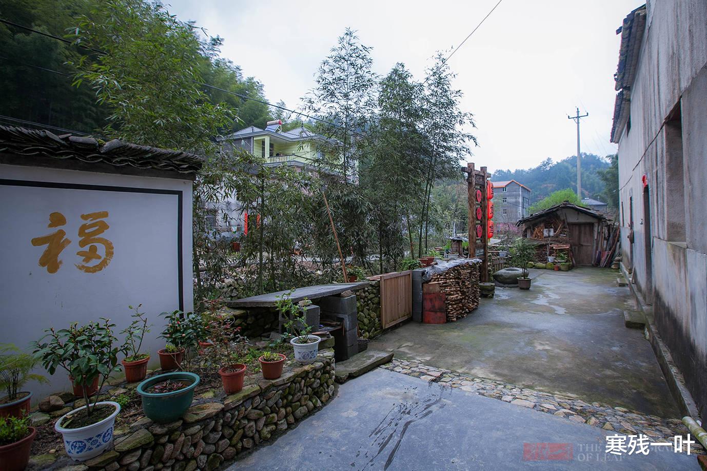 浙江开化清水鱼,草鱼卖100元一斤供不应求,看完养殖过程都说值