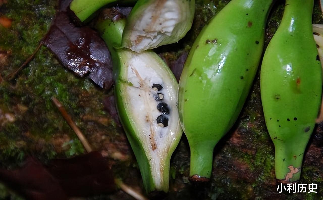 有没有一种可能,人类正在用科学技术,驯化人类自己? ?