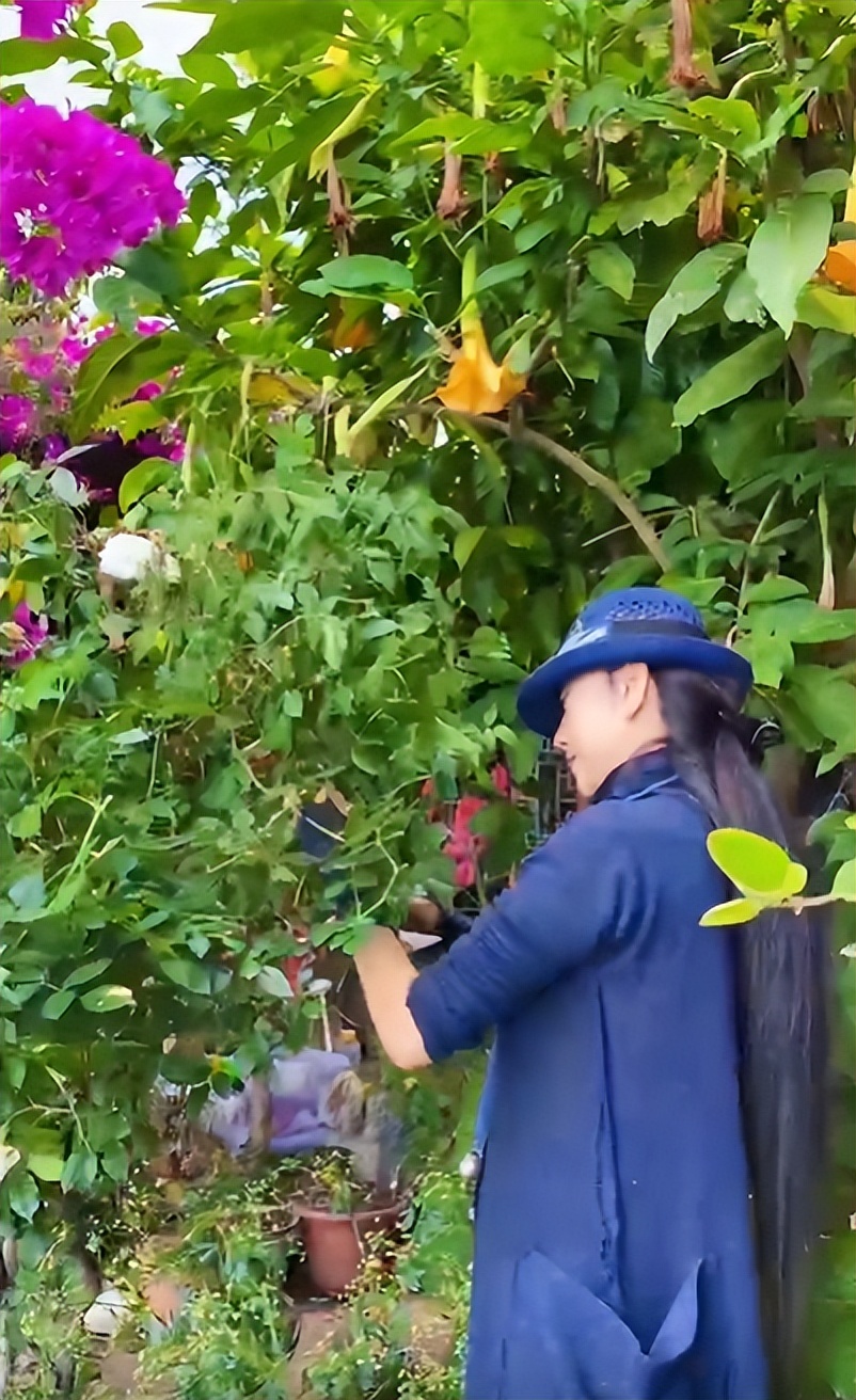 杨丽萍|64岁杨丽萍开豪车自驾游！双臂皮肤松散下垂，指甲尖细长到惊人