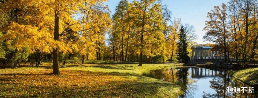 抑郁症|秋分之后,调节心情的时候到了,记得做好这3件事,疏通你的身体