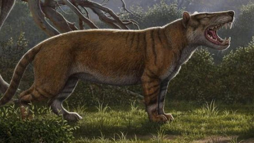 陆地最大食肉哺乳动物被发现，堪称“移动的绞肉机”，重1500公斤