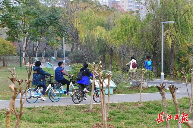 |畅游绿道,享受冬日暖阳