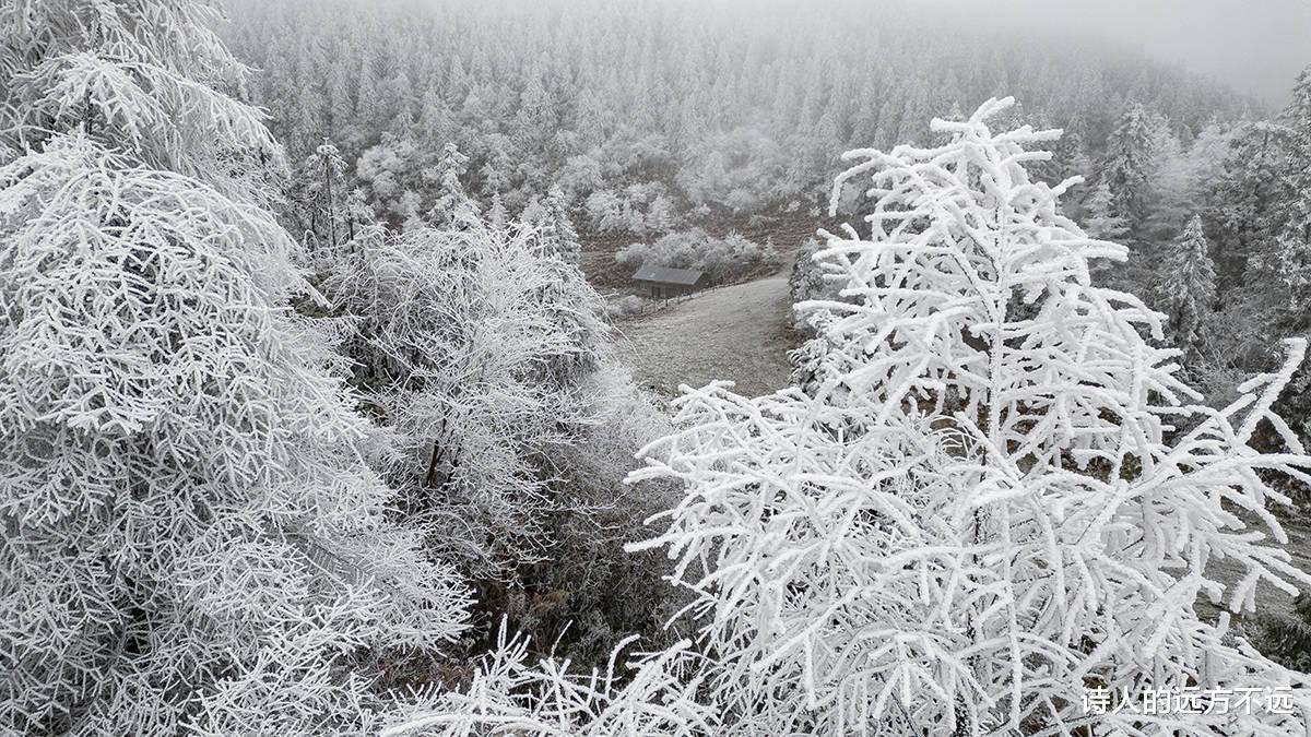 仙女山|难得一见! 重庆仙女山迎2022冬首场雾凇奇观，美腻了