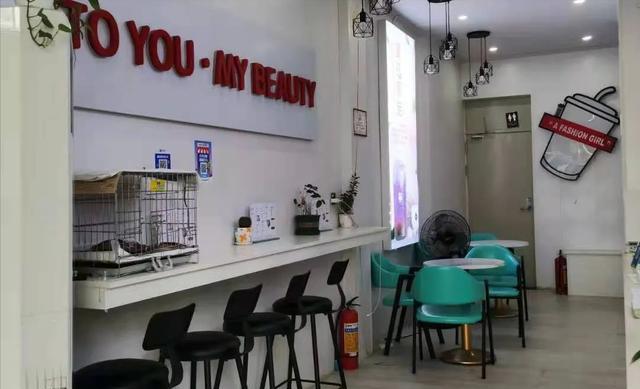 福建小伙花30万开奶茶店,一天营业额150块,守着店铺心力憔悴