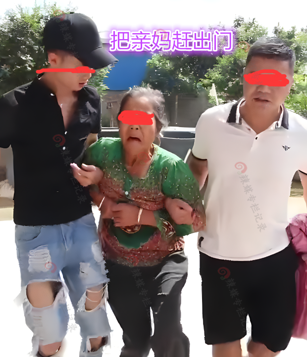 两兄弟把母亲赶出家门,让老人住老房子,大哥怒斥两弟弟是白眼狼